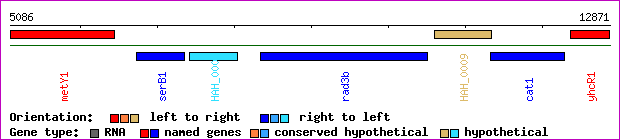 gene map