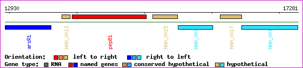 gene map