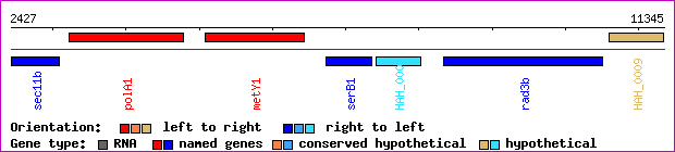 gene map