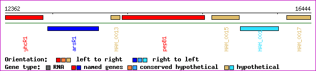 gene map