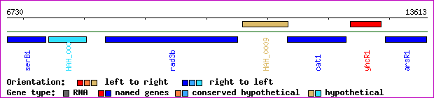 gene map