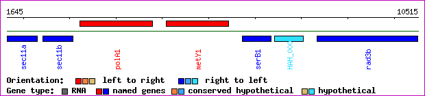 gene map