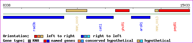 gene map