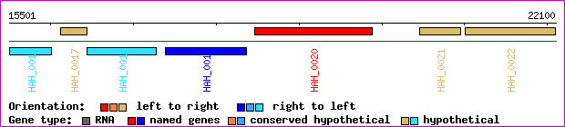 gene map