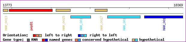 gene map