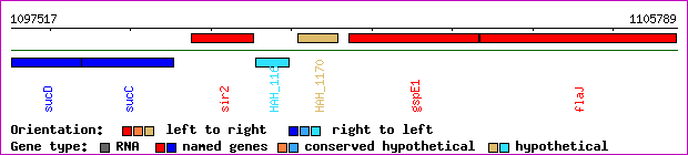 gene map