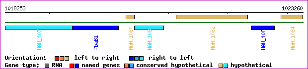 gene map