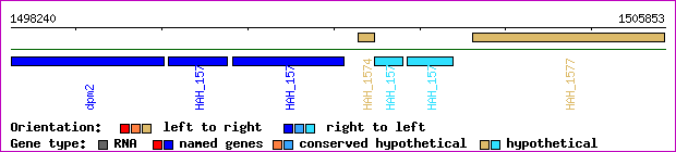 gene map
