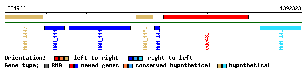 gene map