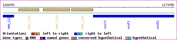 gene map