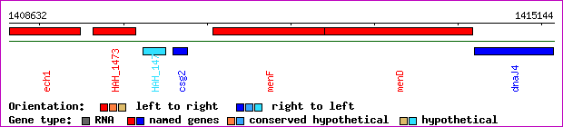 gene map