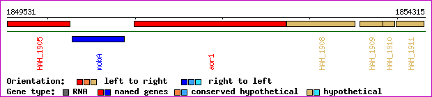 gene map