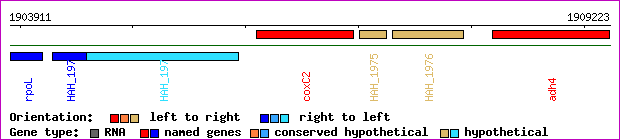 gene map