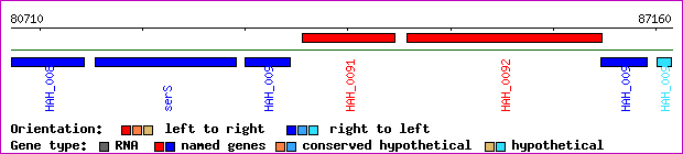 gene map