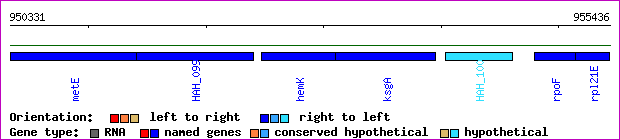 gene map