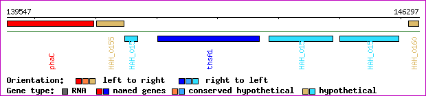 gene map