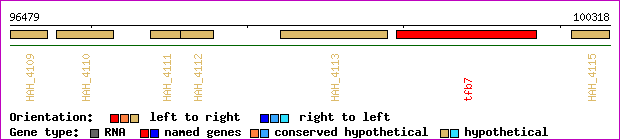 gene map