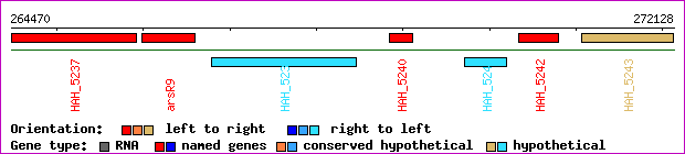 gene map