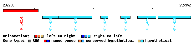 gene map