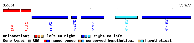 gene map