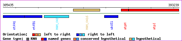 gene map