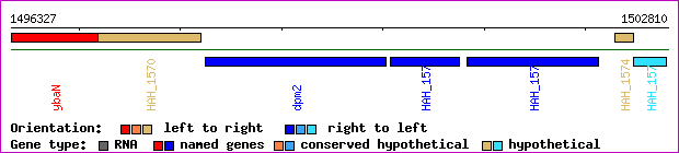 gene map