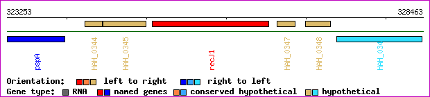 gene map