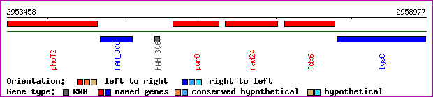 gene map