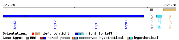 gene map