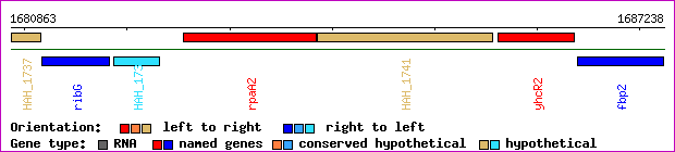 gene map