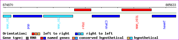 gene map