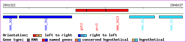 gene map