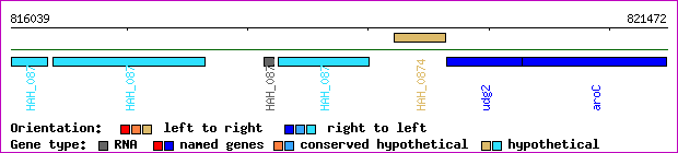 gene map