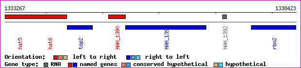 gene map