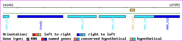 gene map