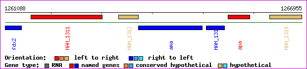 gene map