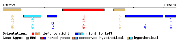 gene map