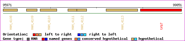 gene map
