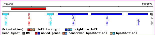 gene map