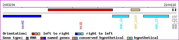 gene map