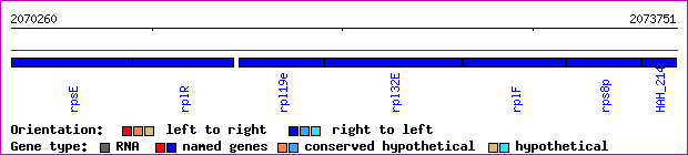 gene map