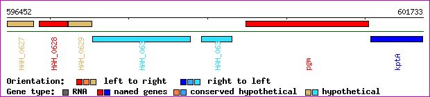 gene map