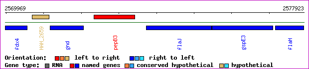 gene map