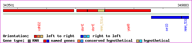 gene map