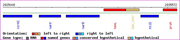 gene map