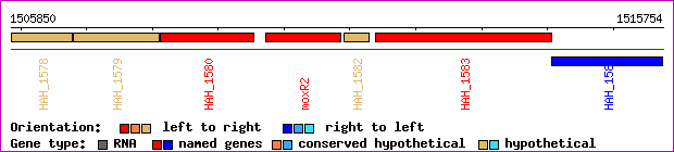 gene map