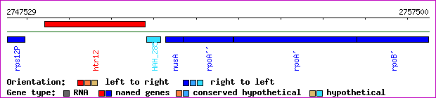 gene map