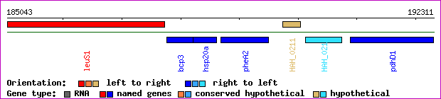 gene map