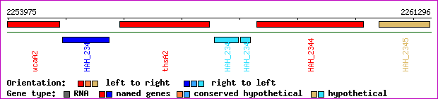 gene map