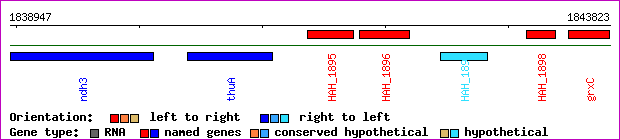 gene map